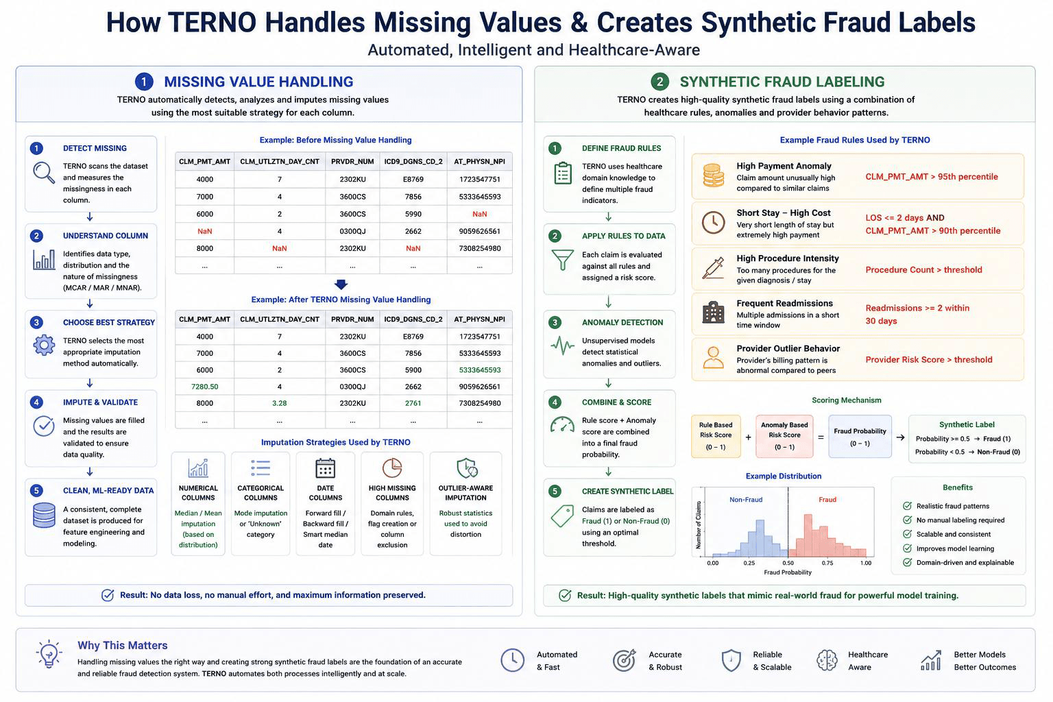 How TERNO Handles Missing Values & Creates Synthetic Fraud Labels.