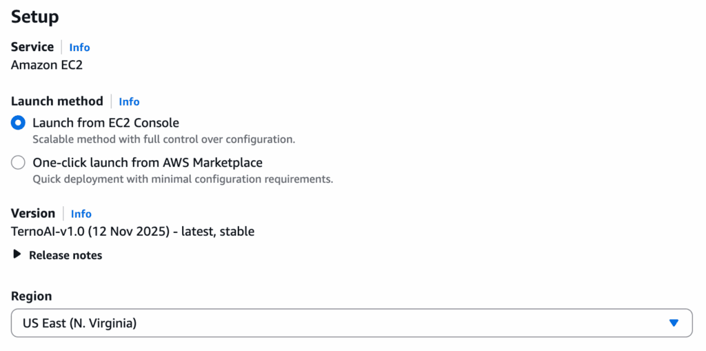 Setup Terno AI on AWS Infrastructure